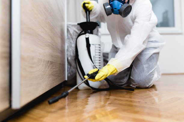 Best Pest Control for Homes  in Mabscott, WV