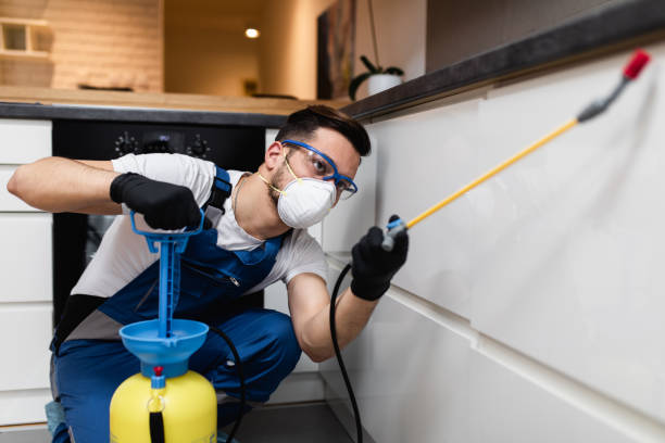 Best Emergency Pest Control  in Mabscott, WV